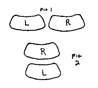 bigger.jpg (17195 bytes)